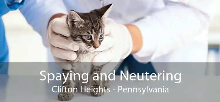 Spaying and Neutering Clifton Heights - Pennsylvania