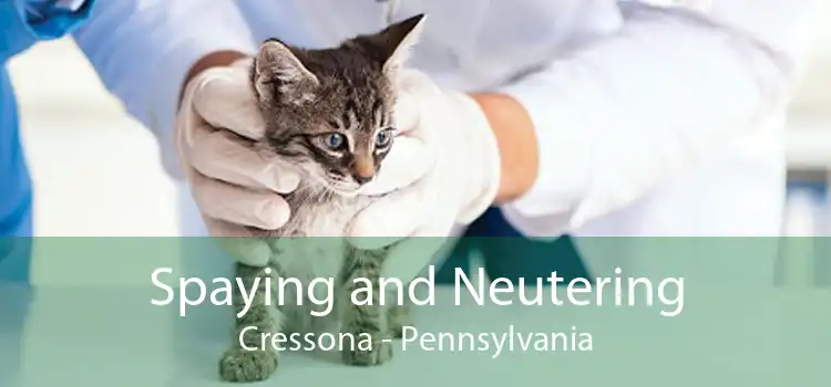 Spaying and Neutering Cressona - Pennsylvania