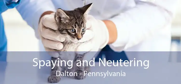 Spaying and Neutering Dalton - Pennsylvania