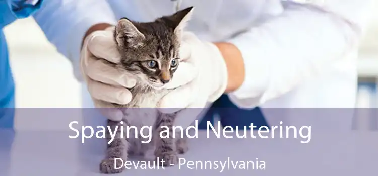 Spaying and Neutering Devault - Pennsylvania