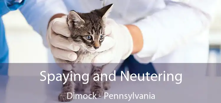 Spaying and Neutering Dimock - Pennsylvania