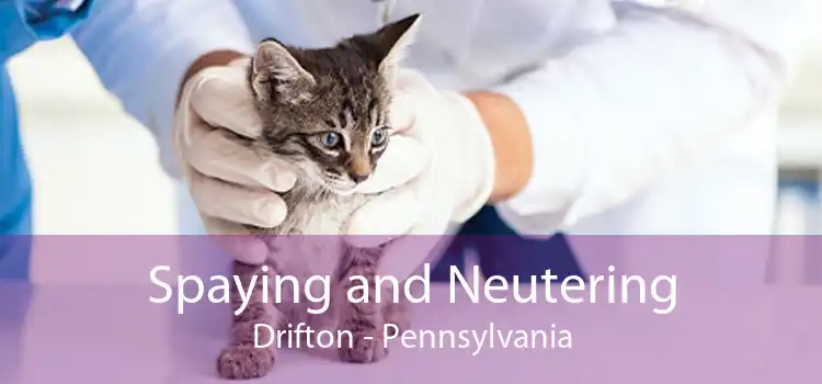 Spaying and Neutering Drifton - Pennsylvania