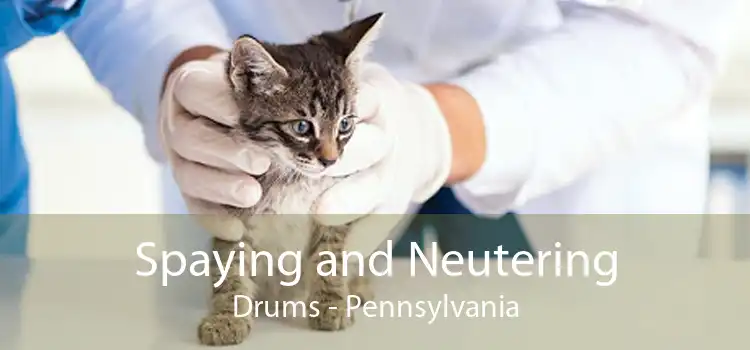 Spaying and Neutering Drums - Pennsylvania