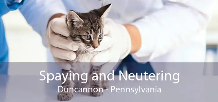 Spaying and Neutering Duncannon - Pennsylvania