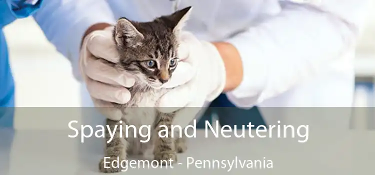 Spaying and Neutering Edgemont - Pennsylvania