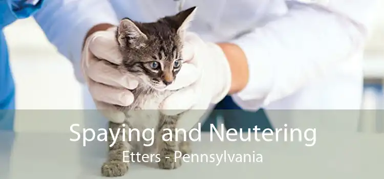 Spaying and Neutering Etters - Pennsylvania