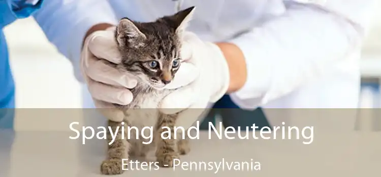 Spaying and Neutering Etters - Pennsylvania