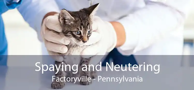 Spaying and Neutering Factoryville - Pennsylvania