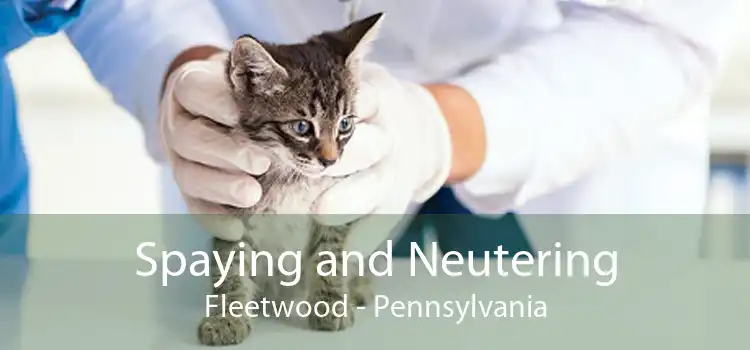 Spaying and Neutering Fleetwood - Pennsylvania