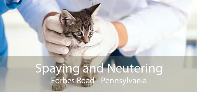 Spaying and Neutering Forbes Road - Pennsylvania