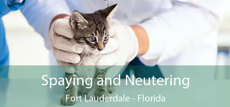 Spaying and Neutering Fort Lauderdale - Florida