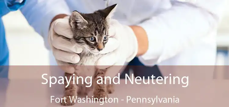 Spaying and Neutering Fort Washington - Pennsylvania