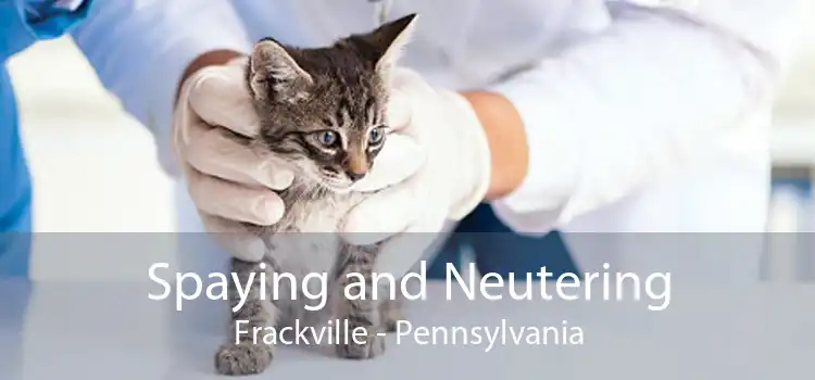 Spaying and Neutering Frackville - Pennsylvania