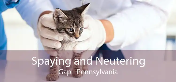 Spaying and Neutering Gap - Pennsylvania