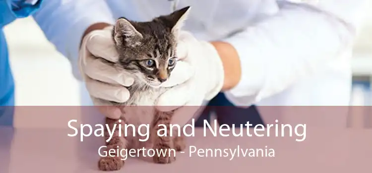 Spaying and Neutering Geigertown - Pennsylvania