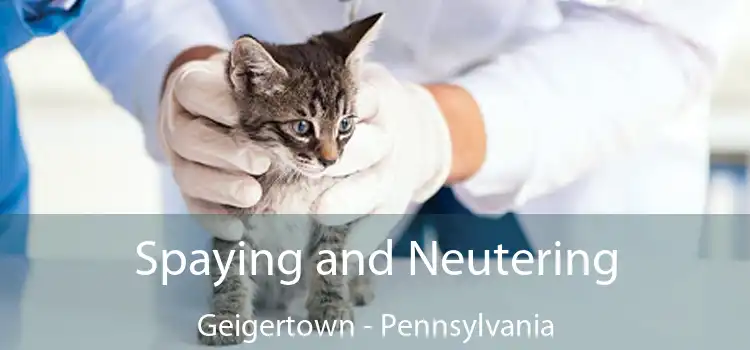 Spaying and Neutering Geigertown - Pennsylvania