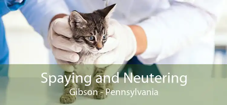 Spaying and Neutering Gibson - Pennsylvania