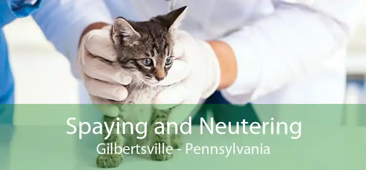 Spaying and Neutering Gilbertsville - Pennsylvania