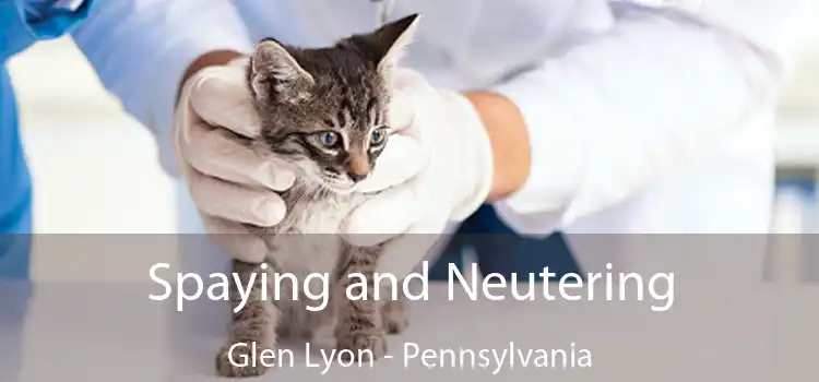 Spaying and Neutering Glen Lyon - Pennsylvania