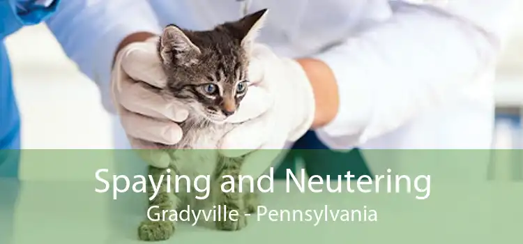 Spaying and Neutering Gradyville - Pennsylvania