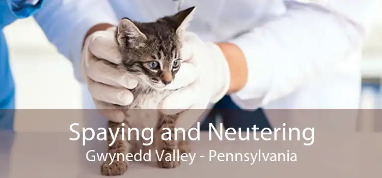 Spaying and Neutering Gwynedd Valley - Pennsylvania