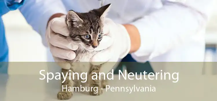 Spaying and Neutering Hamburg - Pennsylvania