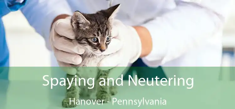 Spaying and Neutering Hanover - Pennsylvania