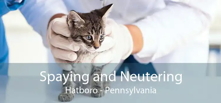 Spaying and Neutering Hatboro - Pennsylvania