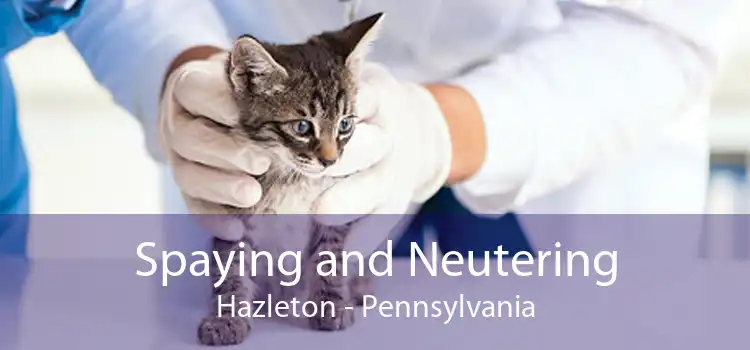 Spaying and Neutering Hazleton - Pennsylvania