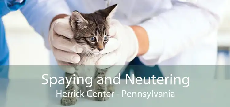 Spaying and Neutering Herrick Center - Pennsylvania