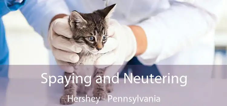 Spaying and Neutering Hershey - Pennsylvania