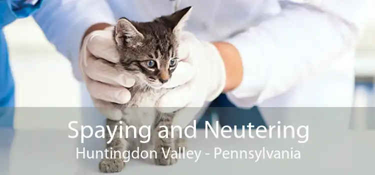 Spaying and Neutering Huntingdon Valley - Pennsylvania