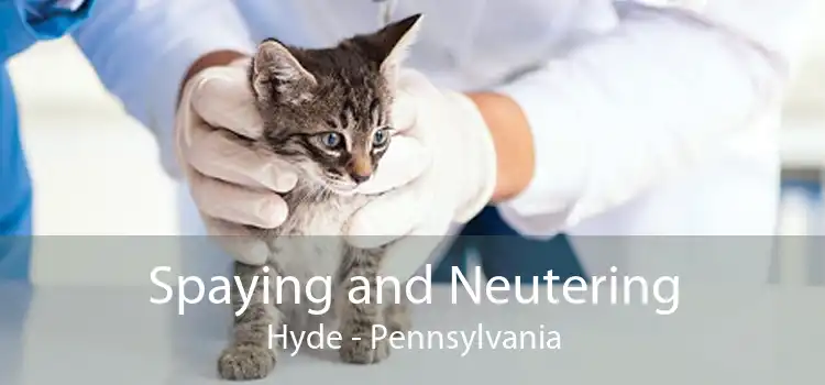 Spaying and Neutering Hyde - Pennsylvania