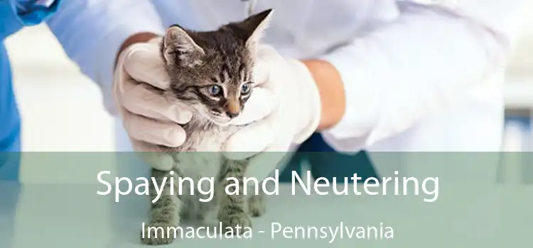 Spaying and Neutering Immaculata - Pennsylvania