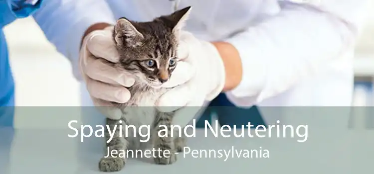 Spaying and Neutering Jeannette - Pennsylvania