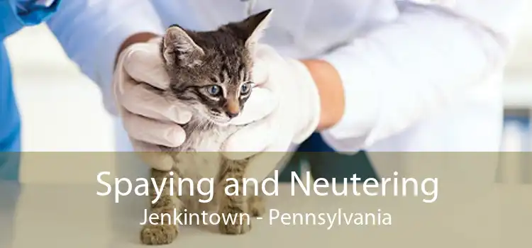 Spaying and Neutering Jenkintown - Pennsylvania