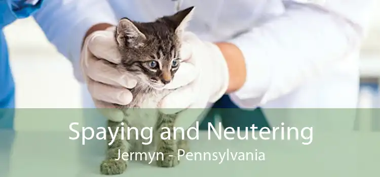 Spaying and Neutering Jermyn - Pennsylvania