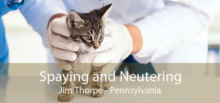 Spaying and Neutering Jim Thorpe - Pennsylvania