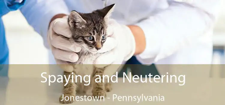 Spaying and Neutering Jonestown - Pennsylvania