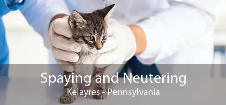 Spaying and Neutering Kelayres - Pennsylvania