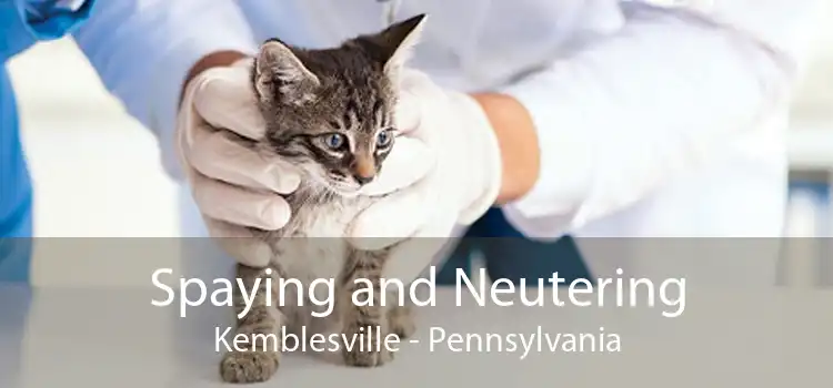 Spaying and Neutering Kemblesville - Pennsylvania