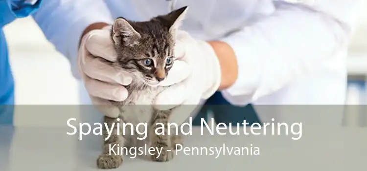 Spaying and Neutering Kingsley - Pennsylvania