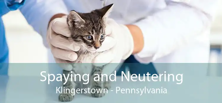 Spaying and Neutering Klingerstown - Pennsylvania