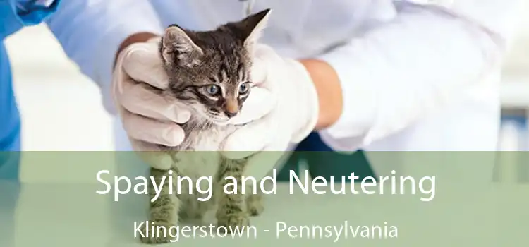 Spaying and Neutering Klingerstown - Pennsylvania