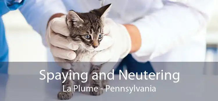 Spaying and Neutering La Plume - Pennsylvania