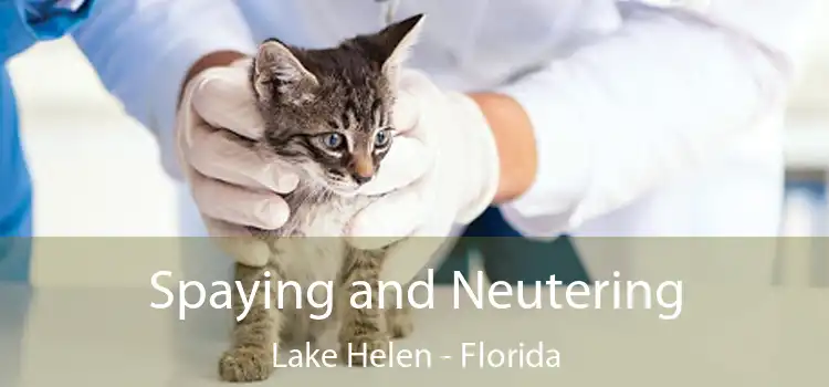 Spaying and Neutering Lake Helen - Florida