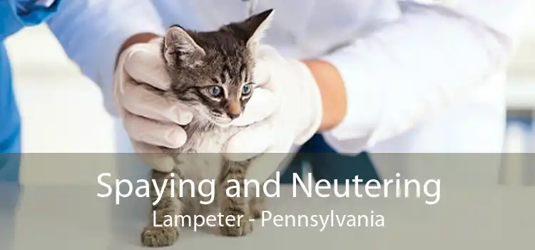 Spaying and Neutering Lampeter - Pennsylvania