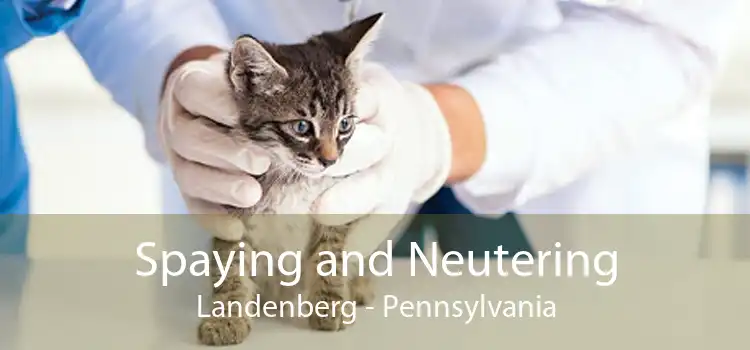 Spaying and Neutering Landenberg - Pennsylvania