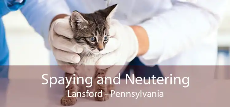 Spaying and Neutering Lansford - Pennsylvania