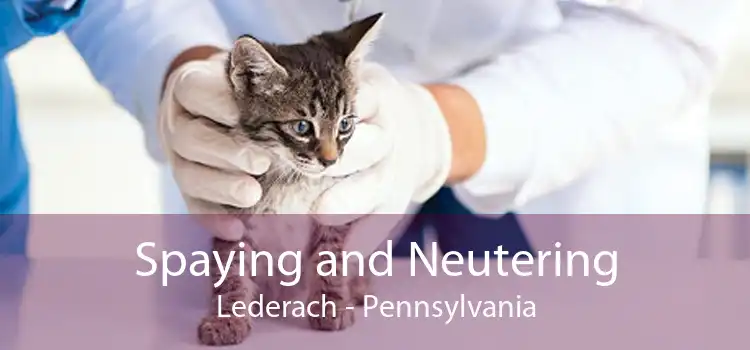 Spaying and Neutering Lederach - Pennsylvania